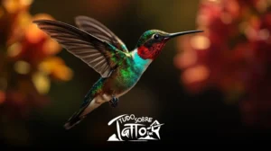 Um beija-flor de cores brilhantes em voo com flores laranja e vermelhas borradas ao fundo; o texto na parte inferior diz "Tudo Sobre Tatu Ink.
